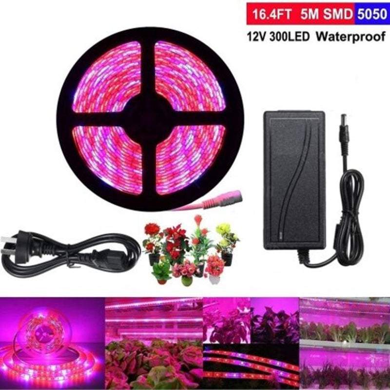Bande lumineuse pour plantes