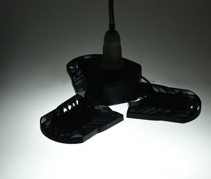 Lumière Adaptable au Design Flexible